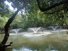 -绮园景区