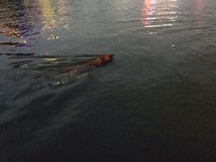 -南通濠河风景名胜区