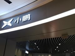 -小鹏汽车体验中心(苏州龙湖狮山天街店)