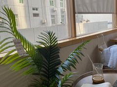 -simple hut简屋咖啡
