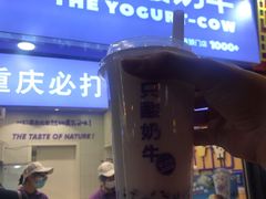 -一只酸奶牛(八一路店)