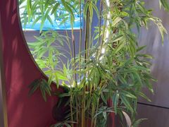 -7号院家宴.烧鸽子(门头沟店)