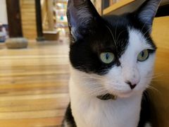 -猫的天空之城概念书店(杭州南宋御街店)