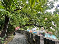 -房湖公园