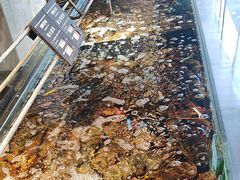 -海鲜e族(马王堆店)