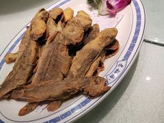 -老雒阳面馆·水席(洛宁高速路口店)