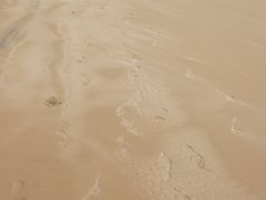 -青岛银沙滩