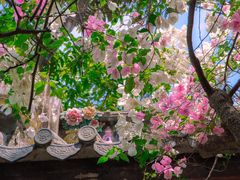 -深圳国际园林花卉博览园