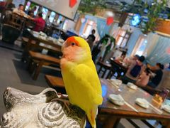 大堂-水煮三国·川鲁江湖菜(香山店)