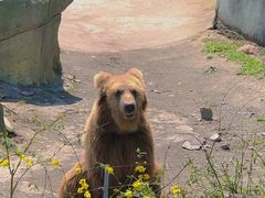 -宁波野生动物园