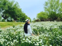 -汉长安城未央宫国家考古遗址公园