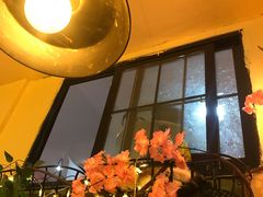 -李小姐の猫咖啡馆(五角场店)