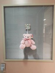 -杭州贝瑞斯美华妇儿医院·早孕·产检·儿科