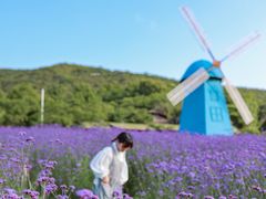 -东海半边山旅游度假区