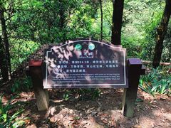 -缙云山景区