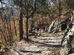 -阳台山自然风景区