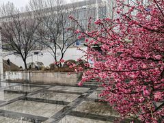 -江宁织造博物馆