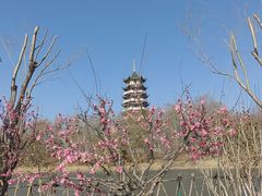 -济南方特东方神画