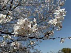 -泰州凤城河风景区-泰山公园