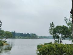 -东郊湿地公园