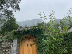 -幽岚山·童话森林