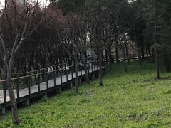 -昆山城市生态森林公园