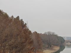 -江滩湿地公园
