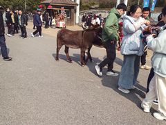 -无锡动物园·太湖欢乐园