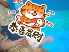 -西安曲江海洋极地公园