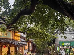 -重庆十八梯传统风貌区