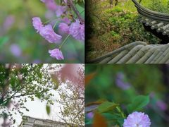 -南京东郊国宾馆