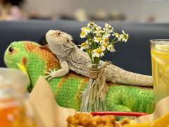 -FAIRYLAND龙族星球主题餐厅(凯丹广场店)