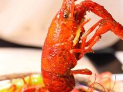 -怪怪龙虾·澳洲蓝龙王·深夜食堂(惊驾路店)