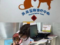 -美美宠物诊疗中心·异宠·骨科(滨江东信分院)