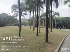-深圳仙湖植物园