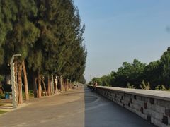 -宝安西湾红树林湿地公园