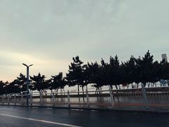 -山东大学(威海校区)