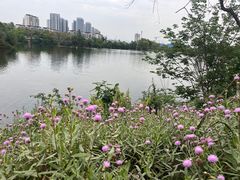 -三圣花乡旅游区