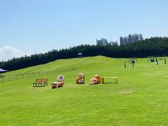 -迪茵湖田家舍生态农场