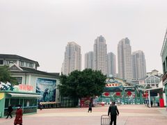 -海合安成都极地海洋公园