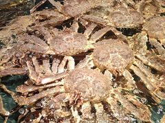 -龙宴海鲜城(经中路店)