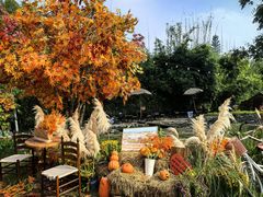 -HERRE·FARM 赫尔露营农场·团建聚会包场