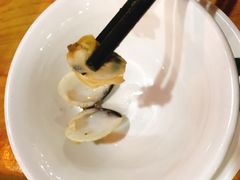 -顺德哥卜卜贝(旗舰店)