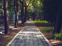 -北京麋鹿生态实验中心