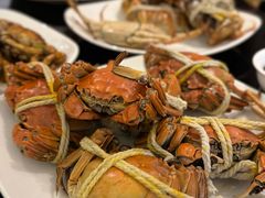 -太湖饭店玉兰厅(自助餐厅)