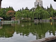 -绵阳人民公园(涪城区)