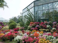 -华南国家植物园-售票处