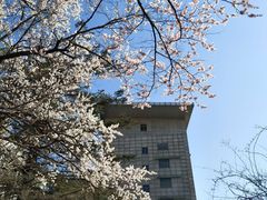 -吉林大学(南岭校区)