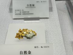 -湖南省地质博物馆