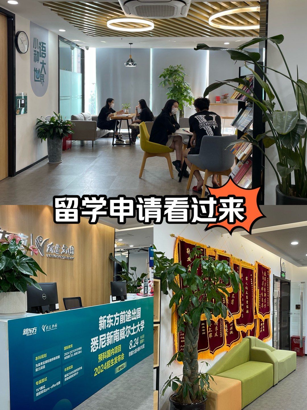 安徽出国留学机构